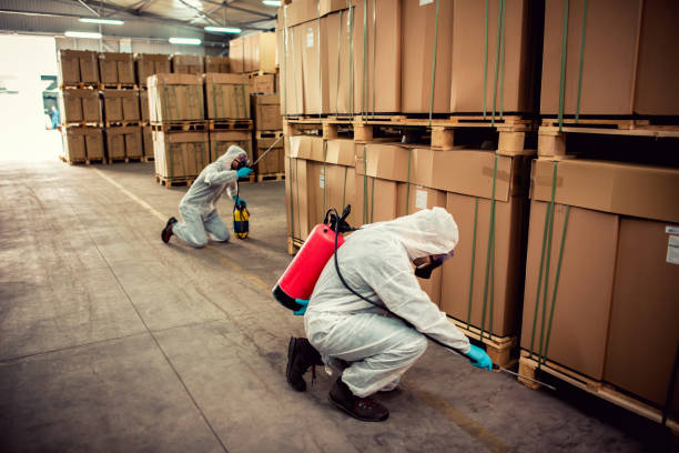 Best Termite Control Services  in Williamsport, IN