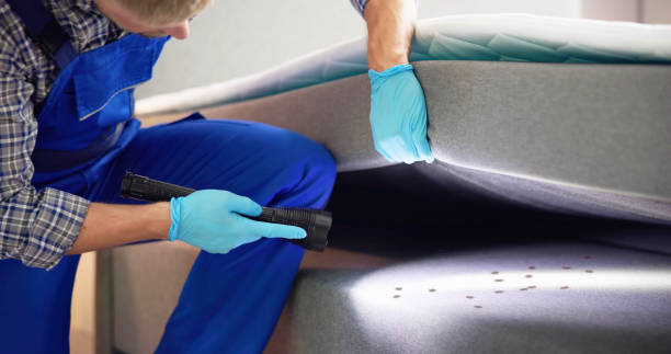 Best Residential Pest Control  in Williamsport, IN