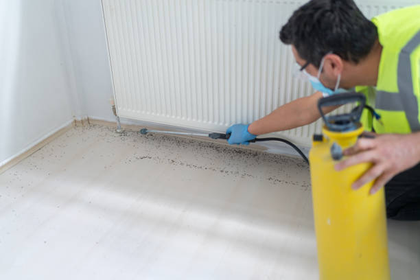 Best Mosquito Control Services  in Williamsport, IN